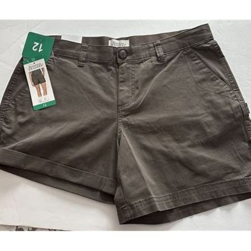 BOSTON TRADERS Women's Shorts - Brown Size 10
